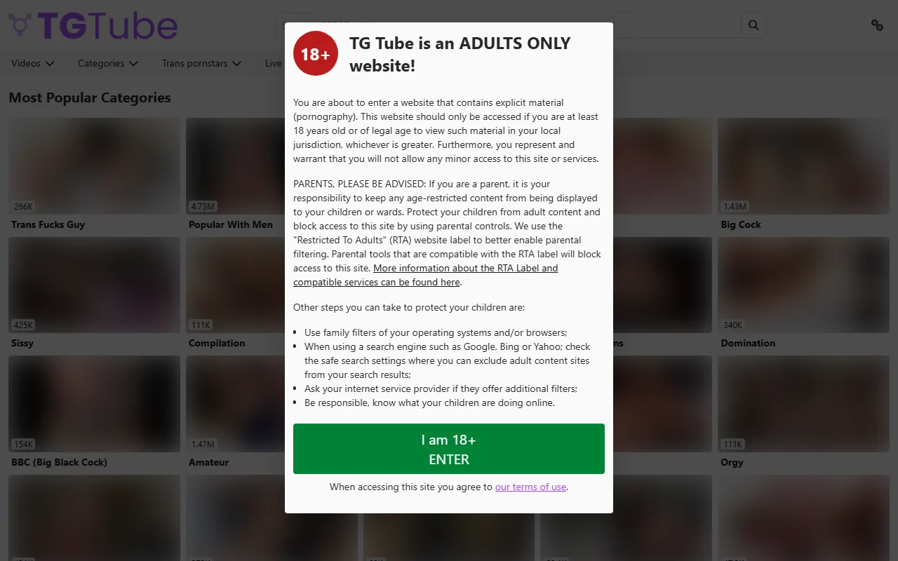 Screenshot of Tgtube